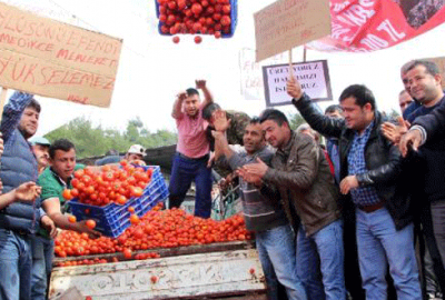 Domates üreticisi yol kapattı