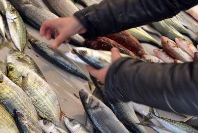 Pazarda satılan balığa dikkat!