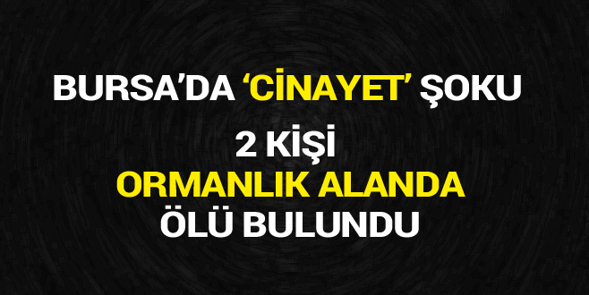 Bursa’da cinayet şoku: Ormanlık alanda ölü bulundular!