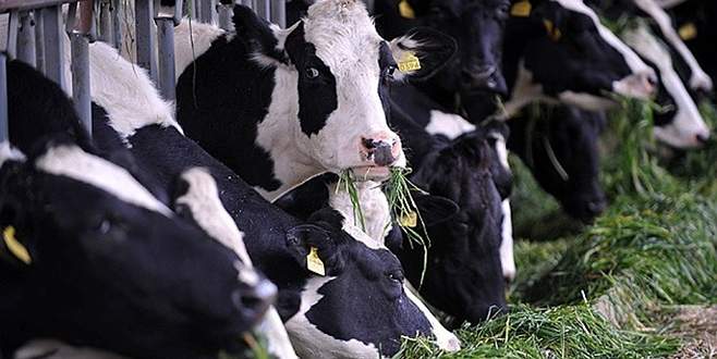 12. Ege Tarım, Sera ve Hayvancılık Fuarı açıldı