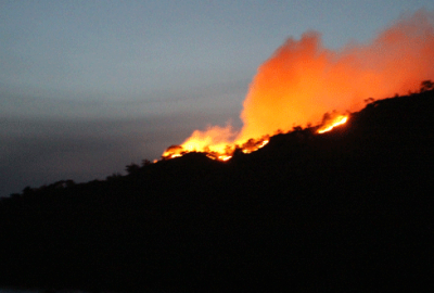 Marmaris’teki orman yangını kontrol altına alındı