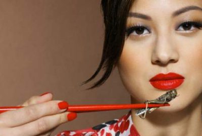 AB’nin yeni gıdası: Böcekler