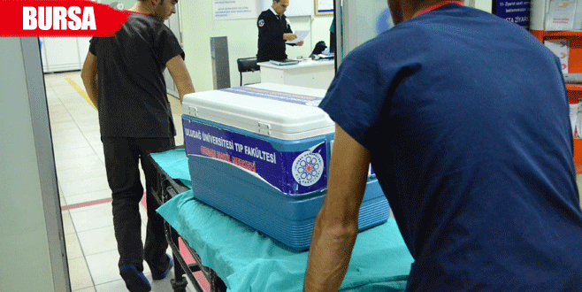 Organları iki kişiye hayat verecek