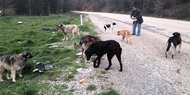 Bursa’da sürücülerden örnek hareket