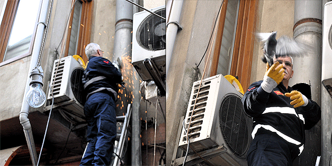 Güvercinler için seferber oldular