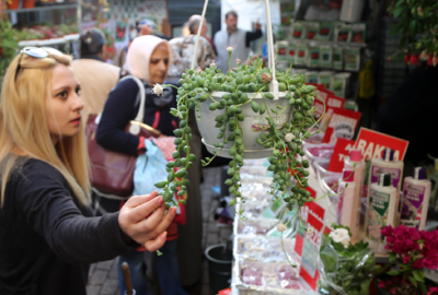 Balkonunuzu 100 liraya çiçeklerle süsleyebilirsiniz