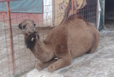 Doğaya zarar vermeden nimetlerinden faydalanmak vicdani ve insani bir sorumluluk.