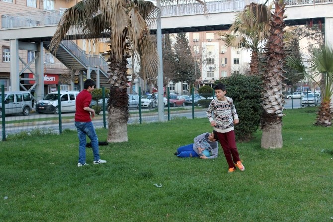 Refüjde Top Oynayan Çocuklar Yürekleri Ağza Getiriyor Refüjde Top Oynayan Çocuklar Yürekleri Ağza Getiriyor