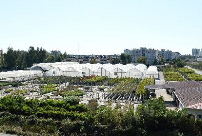 Kılıçdaroğlu 19 Projenin Kurdelesini Kesecek