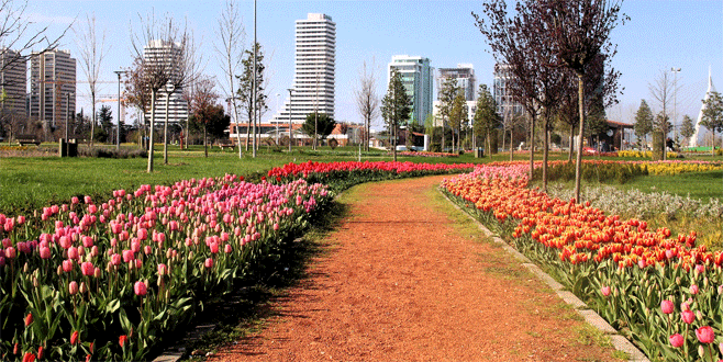 Bursa’da lale devri