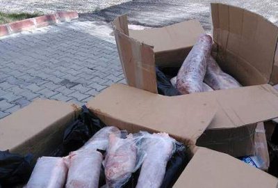Yolcu otobüsünde 1 ton kaçak et ele geçirildi