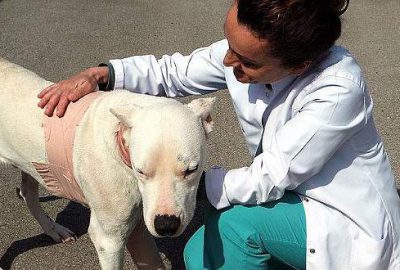 İş bulmada en şanslı meslek onların