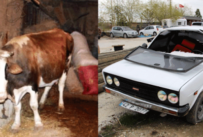 150 kiloluk danayı otomobille çalmaya kalkıştılar