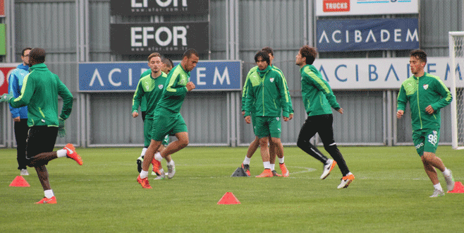 Timsah, Sivas’a bileniyor