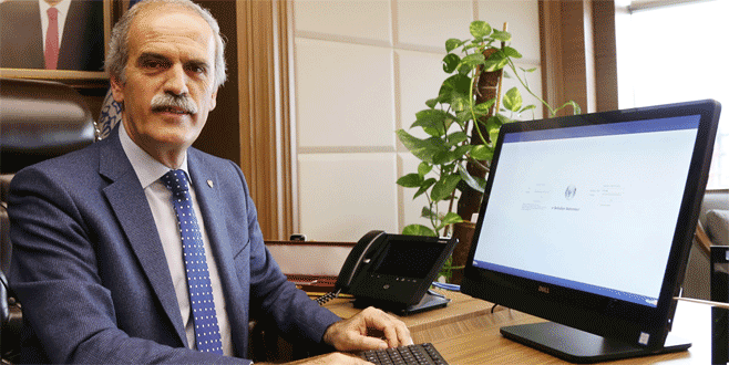 Bursa’da yılda 100 çam ağacı böyle kurtulacak