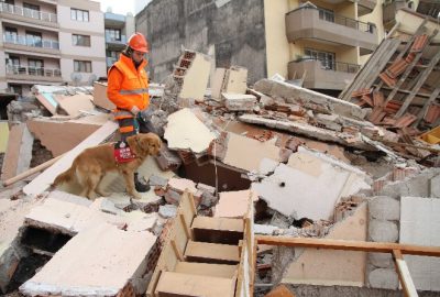 Sokakta Bulunan Rüzgar’ın Hayatı Belgesel Oldu