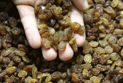 6,5 milyon öğrenciye kuru üzüm dağıtılacak