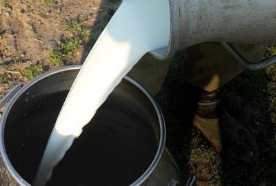 Süte müdahale etkisini hızlı gösterdi