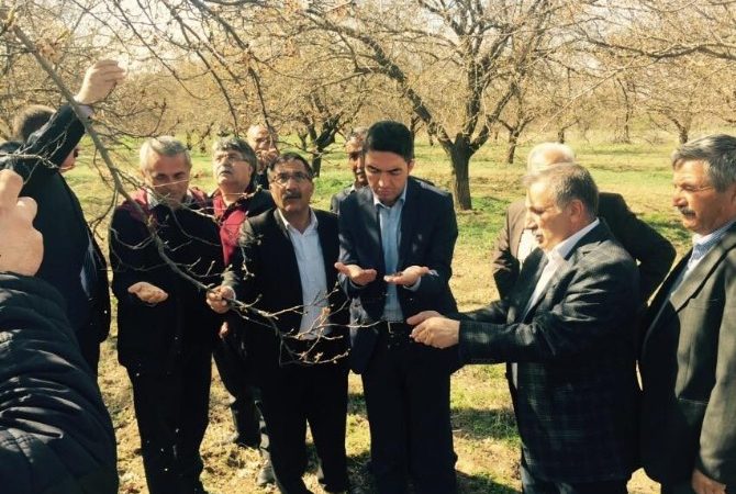 Malatya’da don olayından zarar gören kayısı bahçelerinde incelemelerde bulunan CHP