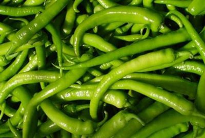 Martta zam şampiyonu sivri biber