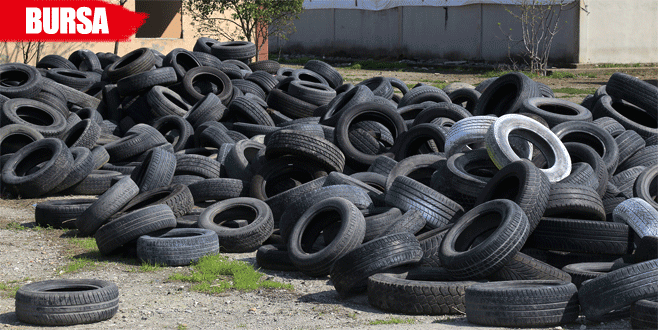 Sinek üreme yatakları kurutuluyor