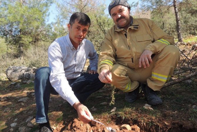 Burdur’un Bucak Orman İşletme Müdürlüğünce ormanlara 5 bin yırtıcı böcek