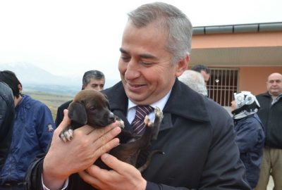 Denizli’de 3 Ayda 300 Sokak Hayvanı Sahiplendirildi