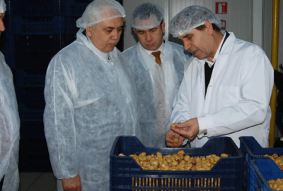 Kardelen üretimde Türkiye’ye örnek