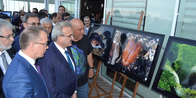 Körfez su altında görüntülendi