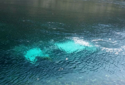 5 genç az daha ihmal kurbanı olacaktı!