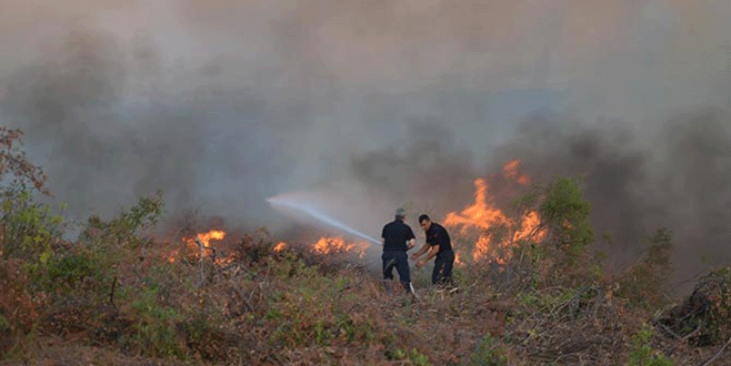 Bursa’da orman yangını!