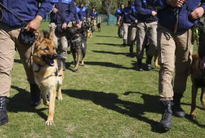 Emniyetin ‘hassas burunları’