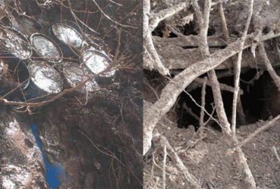 Muş’ta 4 ton amonyum nitrat imha edildi