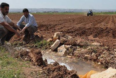 Hibe desteği genç çiftçilere ‘umut’ oldu