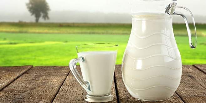 Süt ve süt ürünleri istatistikleri açıklandı