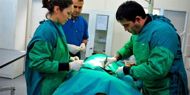 Sokak hayvanlarına ‘Yıldırım’ şefkati