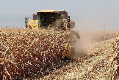 Türkiye önemli tarım ürünlerinde kendine yetiyor
