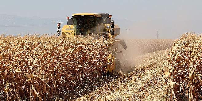 Türkiye önemli tarım ürünlerinde kendine yetiyor