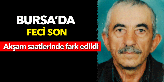 Tarlasını süren çiftçi traktörün altında kaldı
