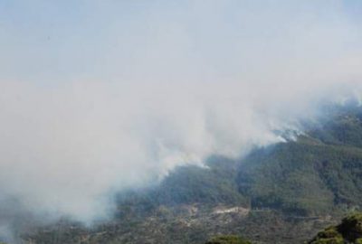 İki kentte orman yangını