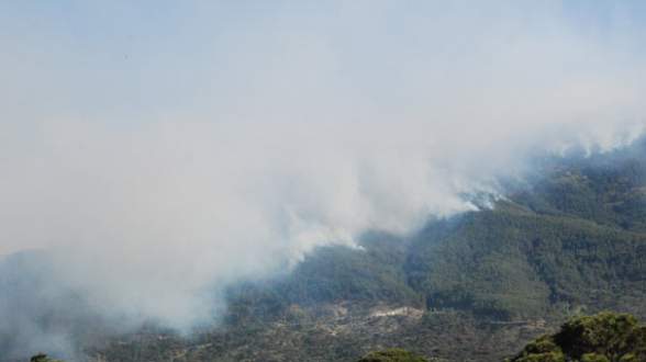 İki kentte orman yangını