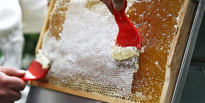 Bir kavanoz narenciye balı 11 bin liradan alıcı buldu