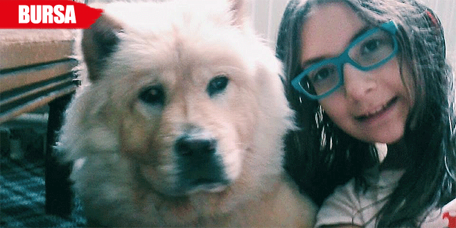 ‘Karamel’i gören var mı?