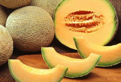 Erkenci kavun 1,5 liradan satılıyor