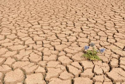 El Nino’nun etkileri daha da artacak!