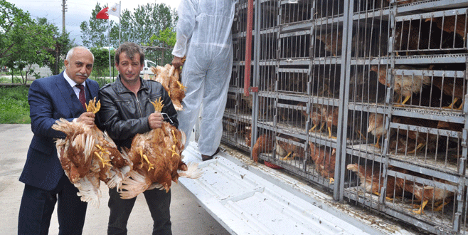 Kooperatif üyelerine ek gelir kapısı