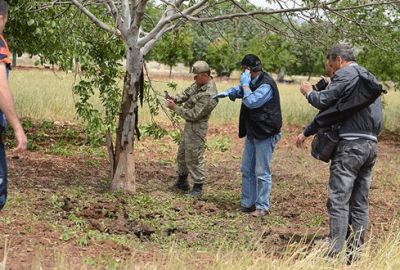 Kilis’e roket mermileri atılmaya devam ediyor
