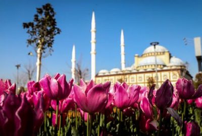 Osmanlı payitahtı Bursa’da ‘lale devri’
