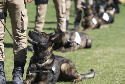 Emniyetin ‘hassas burunları’