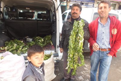 Şifalı Otlar Tezgâhlarda Yerini Aldı